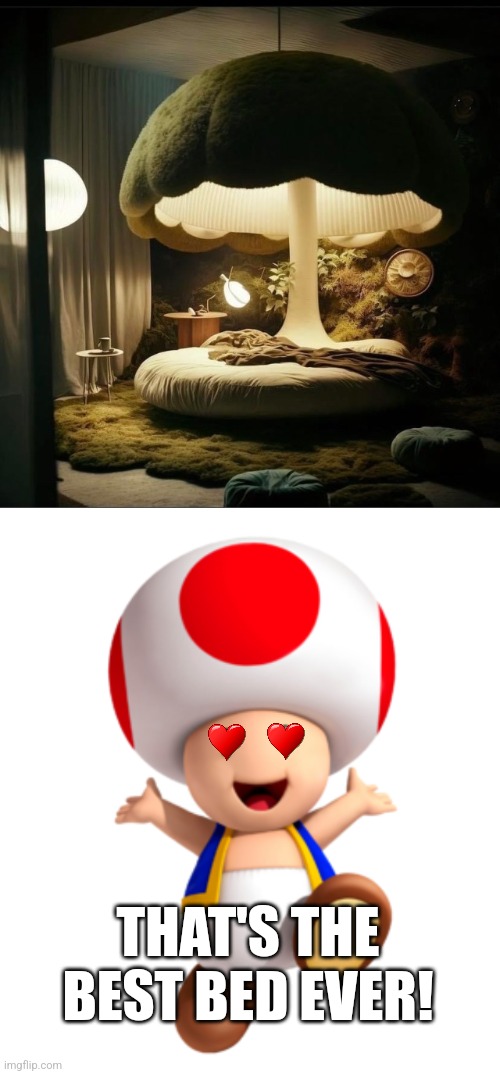 A BED IN THE MUSHROOM KINGDOM | THAT'S THE BEST BED EVER! | image tagged in nintendo,toad,super mario bros | made w/ Imgflip meme maker