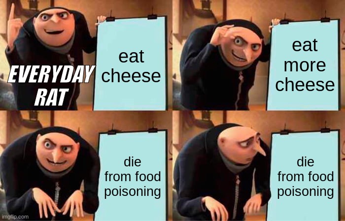 rats | eat cheese; eat more cheese; EVERYDAY RAT; die from food poisoning; die from food poisoning | image tagged in memes,gru's plan | made w/ Imgflip meme maker