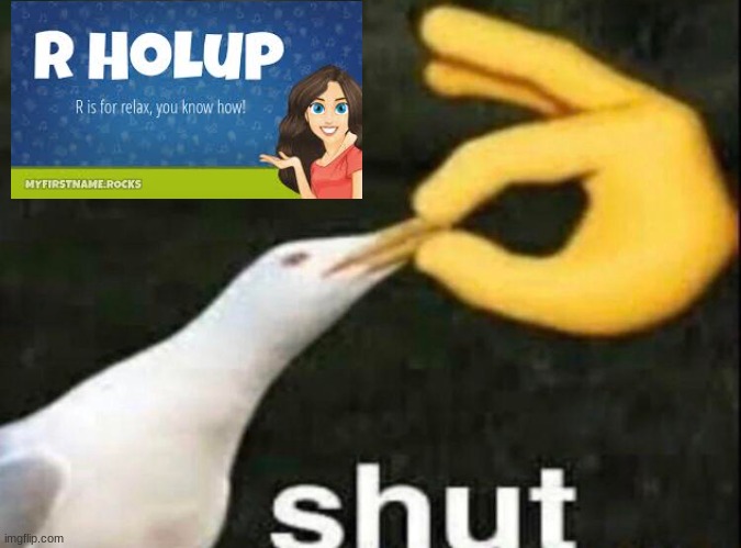 bruh, imagine seeing this on r/holup | image tagged in shut | made w/ Imgflip meme maker