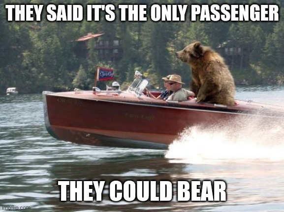Bear on a boat | THEY SAID IT'S THE ONLY PASSENGER; THEY COULD BEAR | image tagged in bear on a boat | made w/ Imgflip meme maker