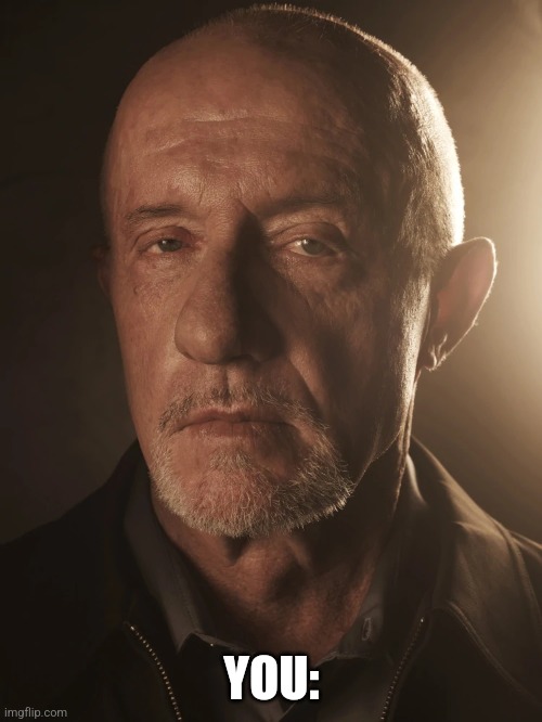 Mike Ehrmantraut | YOU: | image tagged in mike ehrmantraut | made w/ Imgflip meme maker