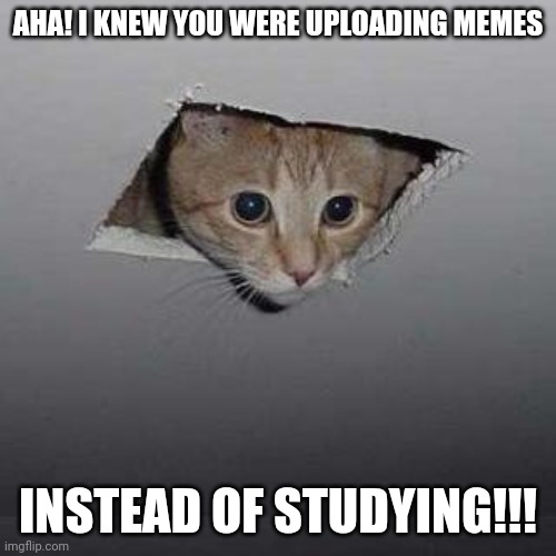 Ceiling Cat | AHA! I KNEW YOU WERE UPLOADING MEMES; INSTEAD OF STUDYING!!! | image tagged in memes,ceiling cat | made w/ Imgflip meme maker