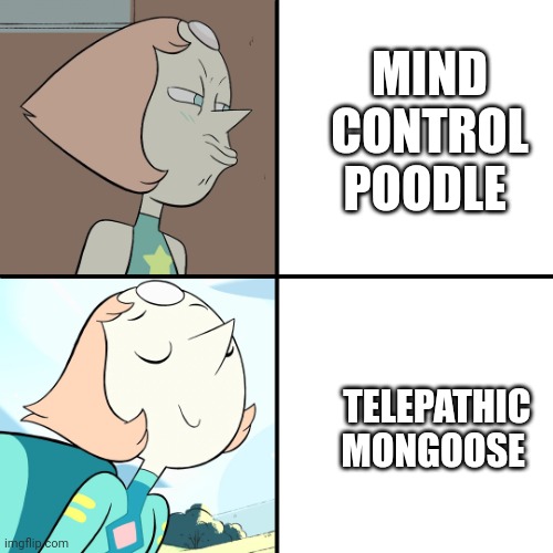 Telepathic mongoose | MIND CONTROL POODLE; TELEPATHIC MONGOOSE | image tagged in pearl drake template | made w/ Imgflip meme maker