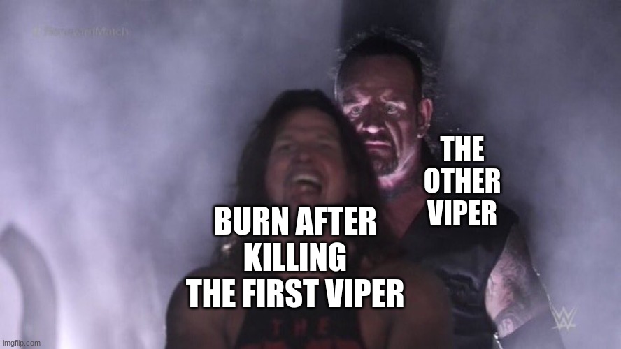 AJ Styles & Undertaker | THE OTHER VIPER; BURN AFTER KILLING THE FIRST VIPER | image tagged in aj styles undertaker | made w/ Imgflip meme maker