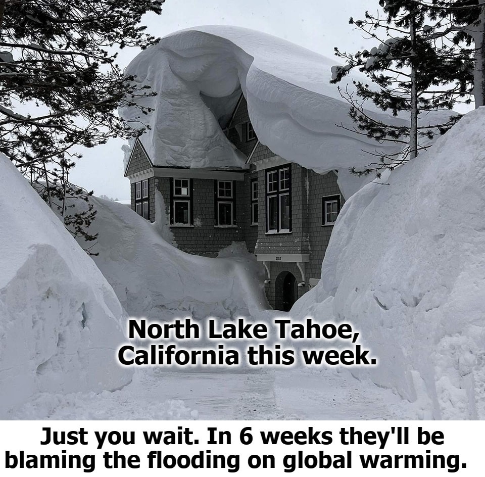 From the Land of Fruits and Nuts... | image tagged in california lunacy,global warming,liberalism,mental illness,mental health,fruit week | made w/ Imgflip meme maker