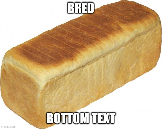 Breadddd | BRED; BOTTOM TEXT | image tagged in breadddd | made w/ Imgflip meme maker