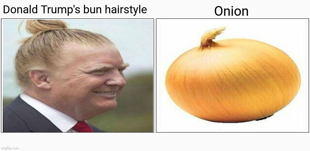 Onion lookalike | Donald Trump's bun hairstyle; Onion | image tagged in memes,blank comic panel 2x1,donald trump,political humor,politics,onion | made w/ Imgflip meme maker