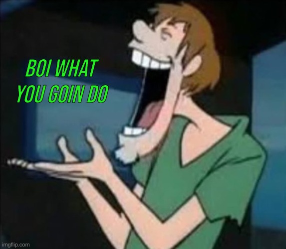 Shaggy boi what you goin do | image tagged in shaggy boi what you goin do | made w/ Imgflip meme maker