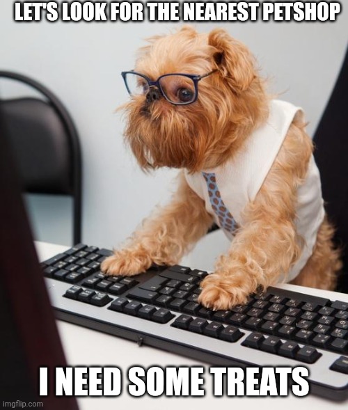 work dog | LET'S LOOK FOR THE NEAREST PETSHOP; I NEED SOME TREATS | image tagged in work dog | made w/ Imgflip meme maker