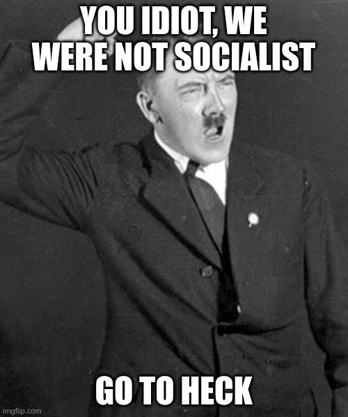 YOU IDIOT, WE WERE NOT SOCIALIST GO TO HECK | image tagged in angry hitler | made w/ Imgflip meme maker