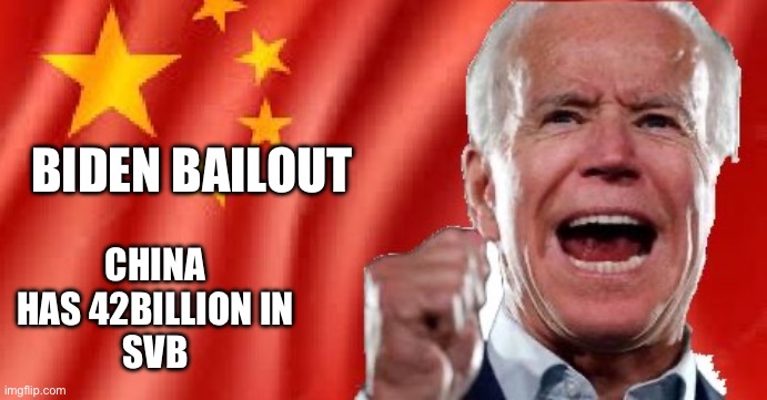 Biden bailout | CHINA HAS 42BILLION IN
SVB; BIDEN BAILOUT | image tagged in fascist party | made w/ Imgflip meme maker