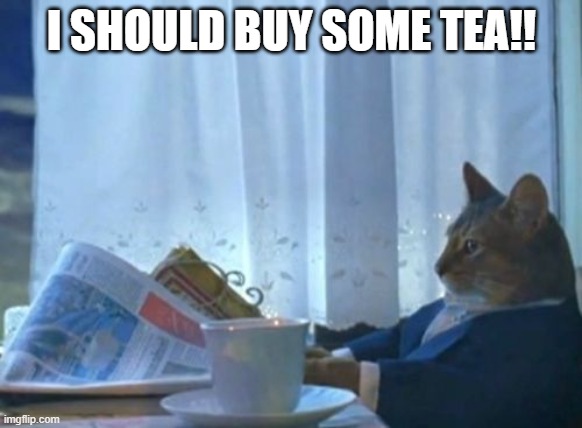 I need some tea | I SHOULD BUY SOME TEA!! | image tagged in memes,i should buy a boat cat,get tea | made w/ Imgflip meme maker