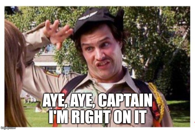 aye aye captain gif