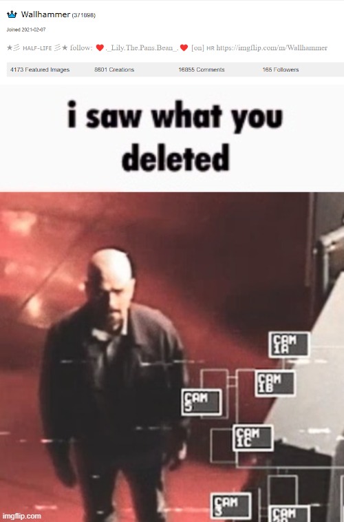 image tagged in i saw what you deleted | made w/ Imgflip meme maker
