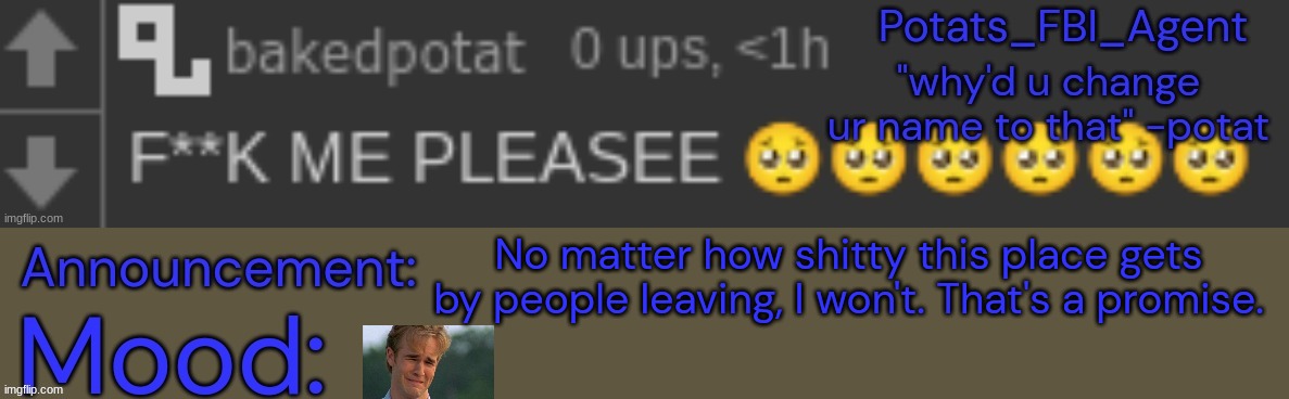 I won't let you guys down. | No matter how shitty this place gets by people leaving, I won't. That's a promise. | image tagged in potat downbad real 1 1 1 1 1 1 1 | made w/ Imgflip meme maker