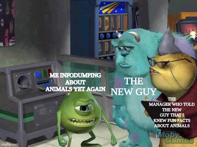"Hey, tell the new guy one of your fun facts!" | THE NEW GUY; ME INFODUMPING ABOUT ANIMALS YET AGAIN; THE MANAGER WHO TOLD THE NEW GUY THAT I KNEW FUN FACTS ABOUT ANIMALS | image tagged in mike wazowski trying to explain,information,fun fact | made w/ Imgflip meme maker
