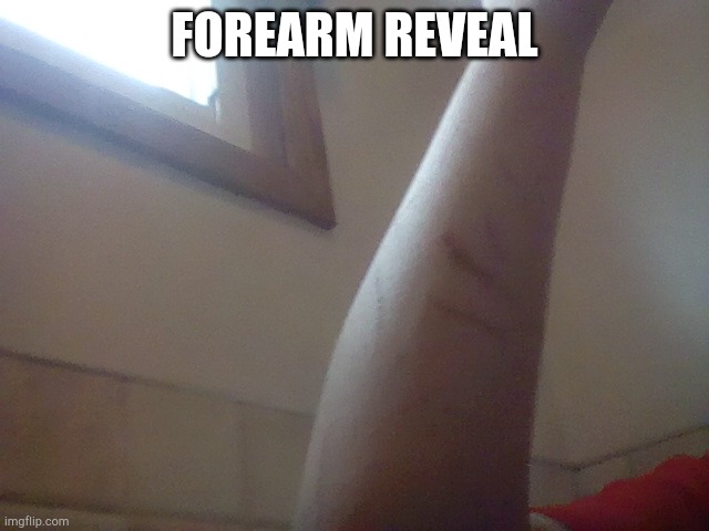 FOREARM REVEAL | made w/ Imgflip meme maker