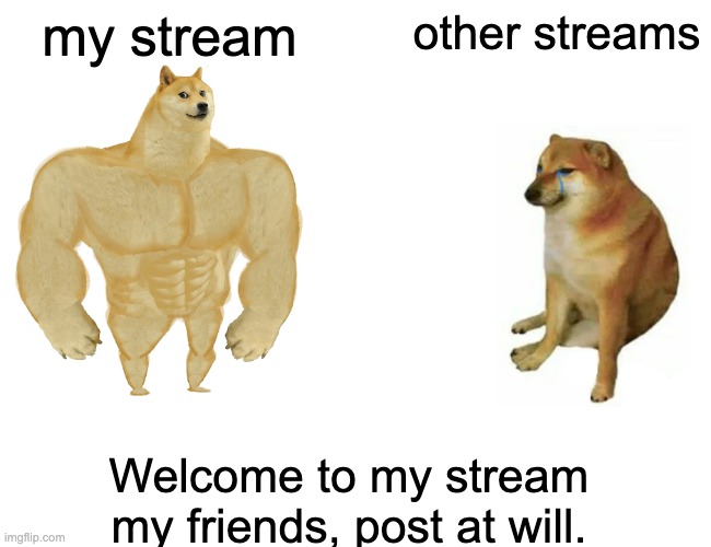 Welcome | my stream; other streams; Welcome to my stream my friends, post at will. | image tagged in memes,buff doge vs cheems | made w/ Imgflip meme maker