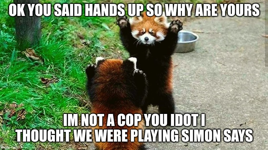 funny meme | OK YOU SAID HANDS UP SO WHY ARE YOURS; IM NOT A COP YOU IDOT I THOUGHT WE WERE PLAYING SIMON SAYS | image tagged in funny | made w/ Imgflip meme maker