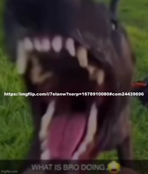 im dying of laughter | https://imgflip.com/i/7elanw?nerp=1678910080#com24439696 | made w/ Imgflip meme maker