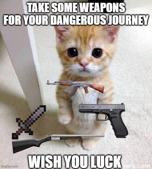 Cute Cat | TAKE SOME WEAPONS FOR YOUR DANGEROUS JOURNEY; WISH YOU LUCK | image tagged in memes,cute cat | made w/ Imgflip meme maker