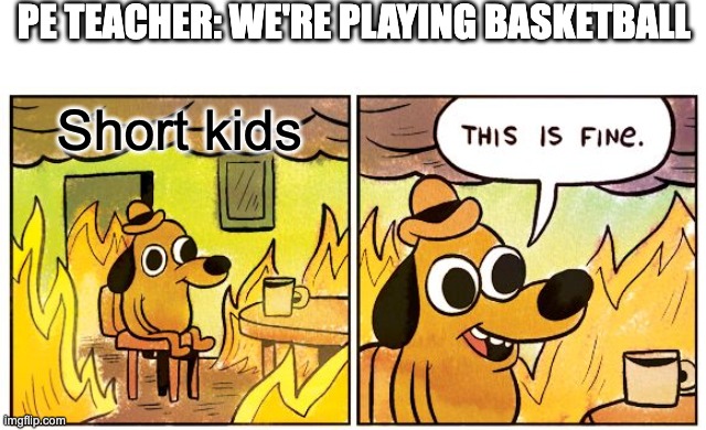 This Is Fine | PE TEACHER: WE'RE PLAYING BASKETBALL; Short kids | image tagged in memes,this is fine | made w/ Imgflip meme maker