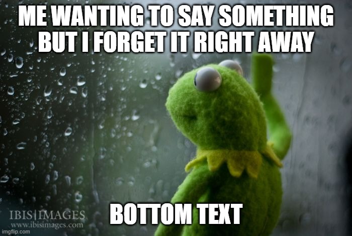 It's happens and i hate it | ME WANTING TO SAY SOMETHING BUT I FORGET IT RIGHT AWAY; BOTTOM TEXT | image tagged in kermit window | made w/ Imgflip meme maker