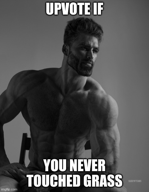 Giga Chad | UPVOTE IF; YOU NEVER TOUCHED GRASS | image tagged in giga chad | made w/ Imgflip meme maker