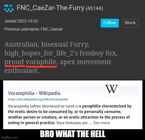 BRO WHAT THE HELL | made w/ Imgflip meme maker