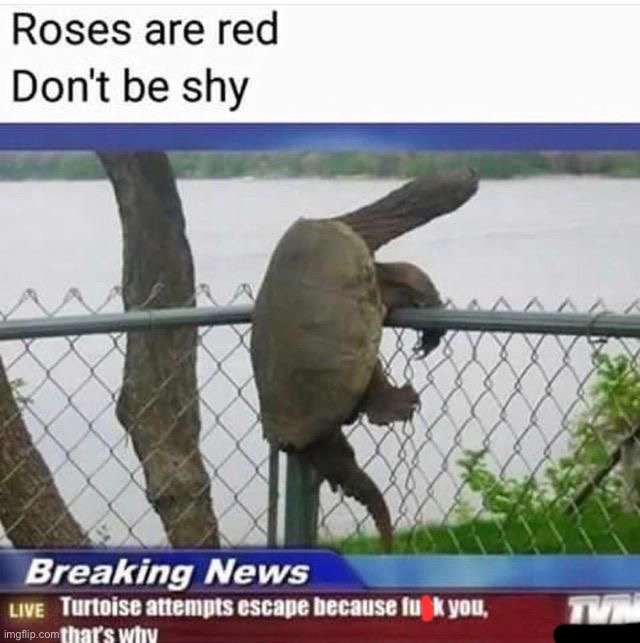 image tagged in memes,funny | made w/ Imgflip meme maker