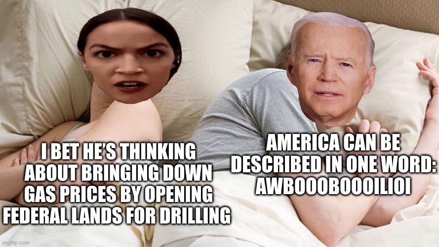 couple in bed | AMERICA CAN BE DESCRIBED IN ONE WORD:
AWBOOOBOOOILIOI; I BET HE’S THINKING ABOUT BRINGING DOWN GAS PRICES BY OPENING FEDERAL LANDS FOR DRILLING | image tagged in couple in bed | made w/ Imgflip meme maker