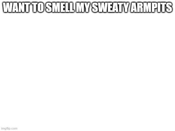 WANT TO SMELL MY SWEATY ARMPITS | made w/ Imgflip meme maker