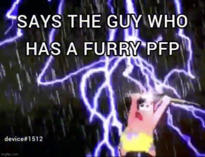 Says the guy who has a furry pfp | image tagged in says the guy who has a furry pfp,memes,shitpost,msmg | made w/ Imgflip meme maker