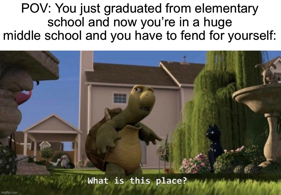 Same thing goes for high school tbh, this happened to me |  POV: You just graduated from elementary school and now you’re in a huge middle school and you have to fend for yourself: | image tagged in what is this place,memes,funny,true story,relatable memes,school | made w/ Imgflip meme maker