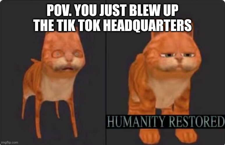 humanity restored | POV. YOU JUST BLEW UP THE TIK TOK HEADQUARTERS | image tagged in humanity restored | made w/ Imgflip meme maker