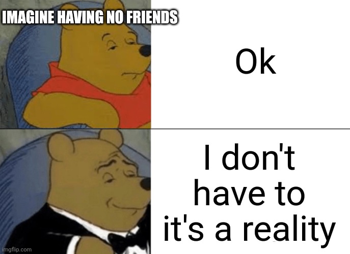 Tuxedo Winnie The Pooh | Ok; IMAGINE HAVING NO FRIENDS; I don't have to it's a reality | image tagged in memes,tuxedo winnie the pooh,no friends,cool,thug life | made w/ Imgflip meme maker