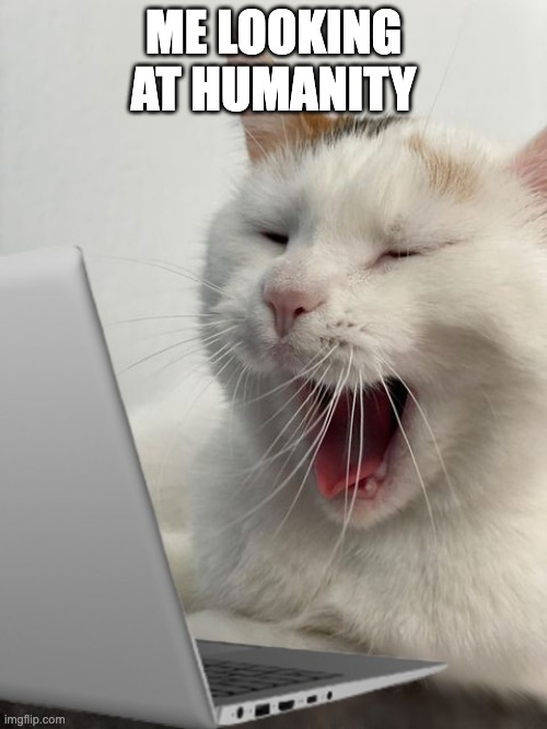 Me fr | ME LOOKING AT HUMANITY | image tagged in cat scrolling through laptop,humanity,human,cats,funny,funny memes | made w/ Imgflip meme maker