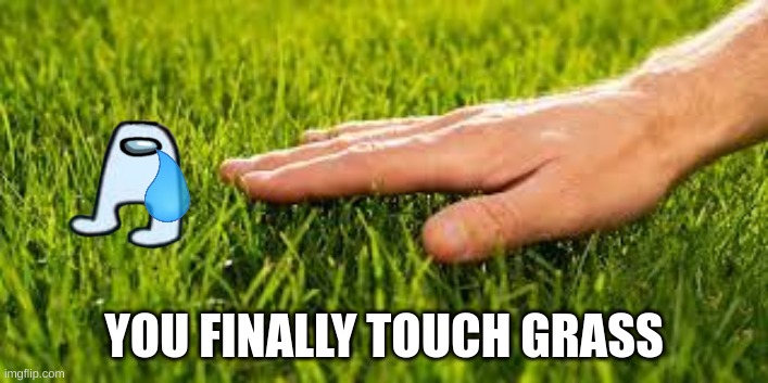 grass | YOU FINALLY TOUCH GRASS | image tagged in grass | made w/ Imgflip meme maker
