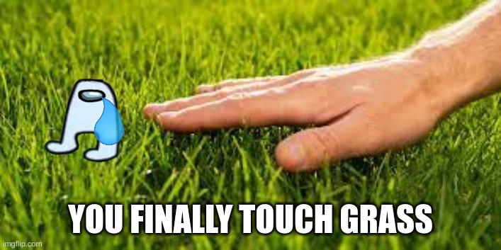 Gamers can finally touch grass : r/memes