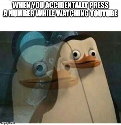 yt | WHEN YOU ACCIDENTALLY PRESS A NUMBER WHILE WATCHING YOUTUBE | image tagged in madagascar meme | made w/ Imgflip meme maker