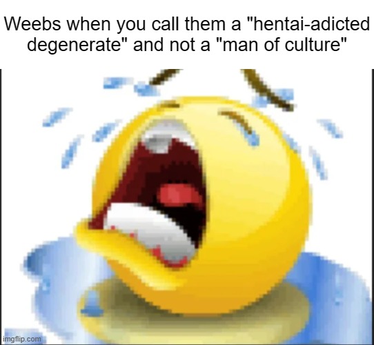 Low Quality Crying Emoji | Weebs when you call them a "hentai-adicted degenerate" and not a "man of culture" | made w/ Imgflip meme maker