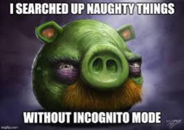 Oh no he Searched up naughty things without incognito! I’m gonna Nuke him! | image tagged in random | made w/ Imgflip meme maker