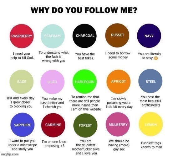 I have 79 followers, so hopefully I find out the question | image tagged in why do you follow me,imgflip,imgflip users,followers | made w/ Imgflip meme maker