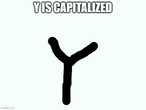 Y IS CAPITALIZED | made w/ Imgflip meme maker