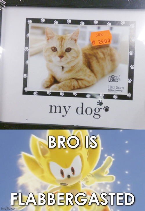 Does that mean a dog can be your cat?  BAHAHAHAHAHAHA-- | image tagged in sonic is flabbergasted,bro is flabbergasted,you had one job,oof,funny cat memes | made w/ Imgflip meme maker
