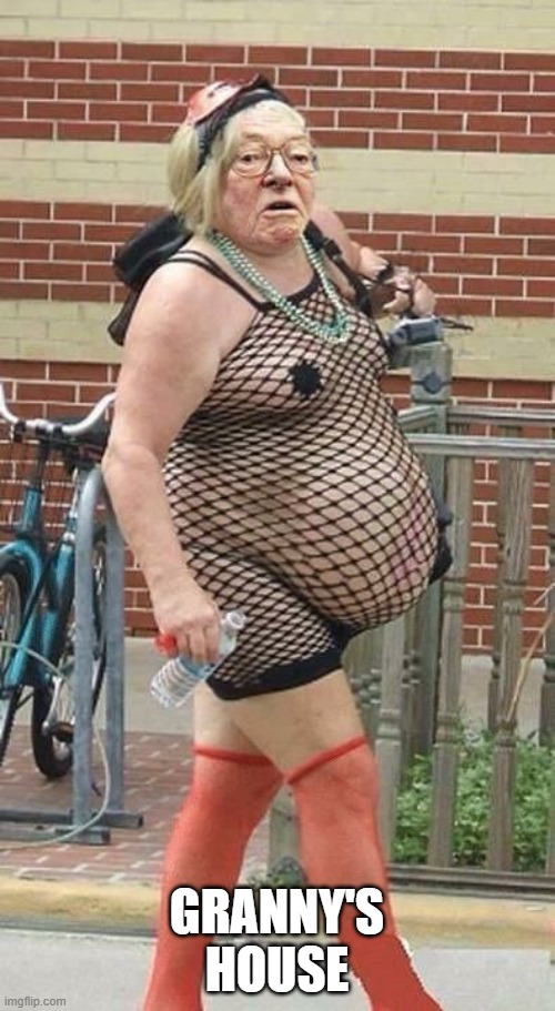Fishnet Granny | GRANNY'S HOUSE | image tagged in fishnet granny | made w/ Imgflip meme maker