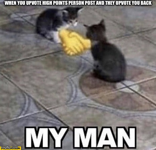 Share the points | WHEN YOU UPVOTE HIGH POINTS PERSON POST AND THEY UPVOTE YOU BACK | image tagged in cats shaking hands | made w/ Imgflip meme maker
