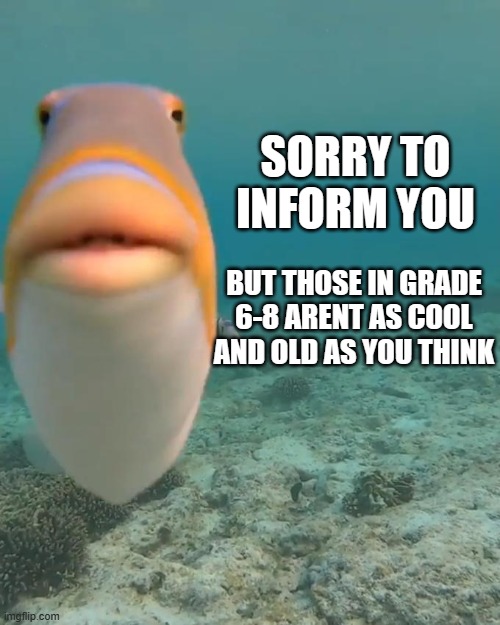 Highschoolers can relate looking back at them in those years :1 | SORRY TO INFORM YOU; BUT THOSE IN GRADE 6-8 ARENT AS COOL AND OLD AS YOU THINK | image tagged in staring fish | made w/ Imgflip meme maker