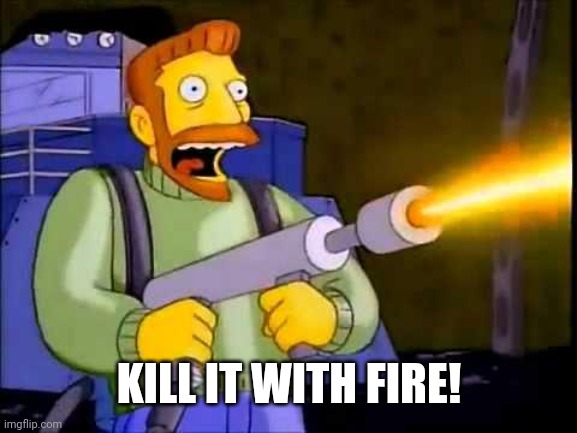 Kill it with fire | KILL IT WITH FIRE! | image tagged in kill it with fire | made w/ Imgflip meme maker