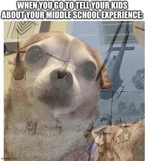 PTSD Chihuahua |  WHEN YOU GO TO TELL YOUR KIDS ABOUT YOUR MIDDLE SCHOOL EXPERIENCE: | image tagged in ptsd chihuahua | made w/ Imgflip meme maker